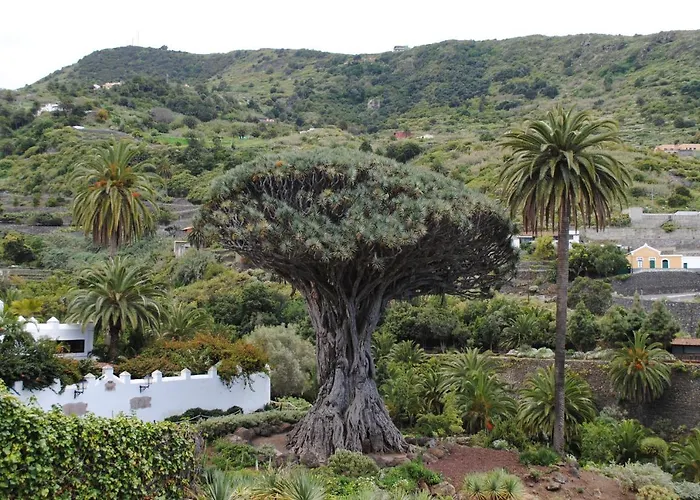 Apartment Brisas Del Roque Coastline In