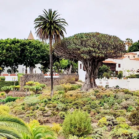 Apartamento Brisas Del Roque Coastline In Garachico (Tenerife)