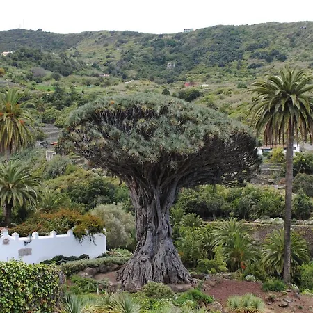 Apartamento Brisas Del Roque Coastline In